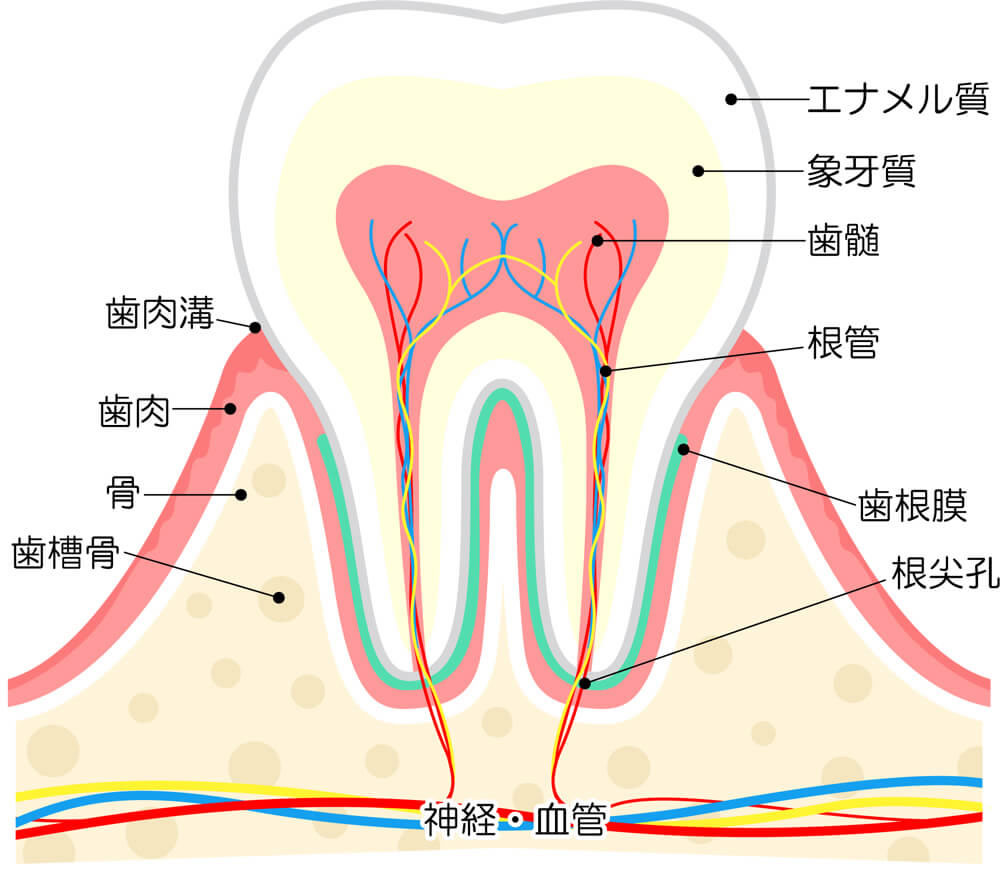 サンプルイメージ